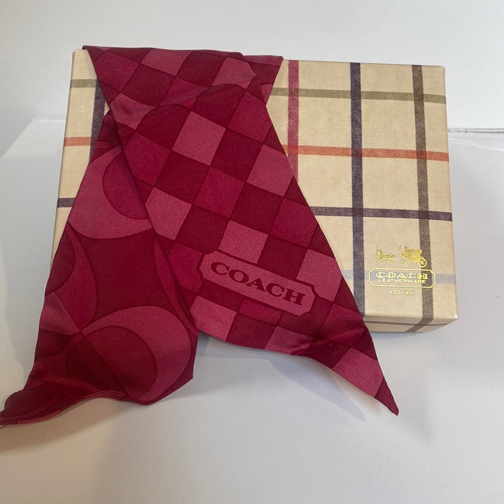 Coach ponytail scarf